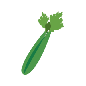 celery vector