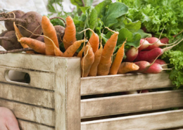 Carrots in a crate