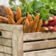 Carrots in a crate