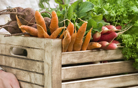 Carrots in a crate