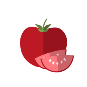 tomato vector