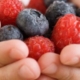 Berries in a hand