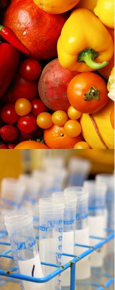 U.S Department of Agriculture Pesticide Data Program Annual Summary, Calendar Year 2024
